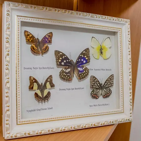 Azure Apartment Split