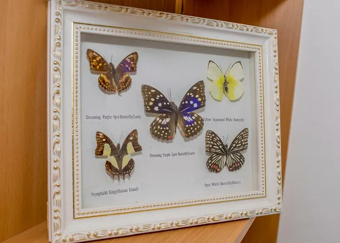 Azure Apartmán Split